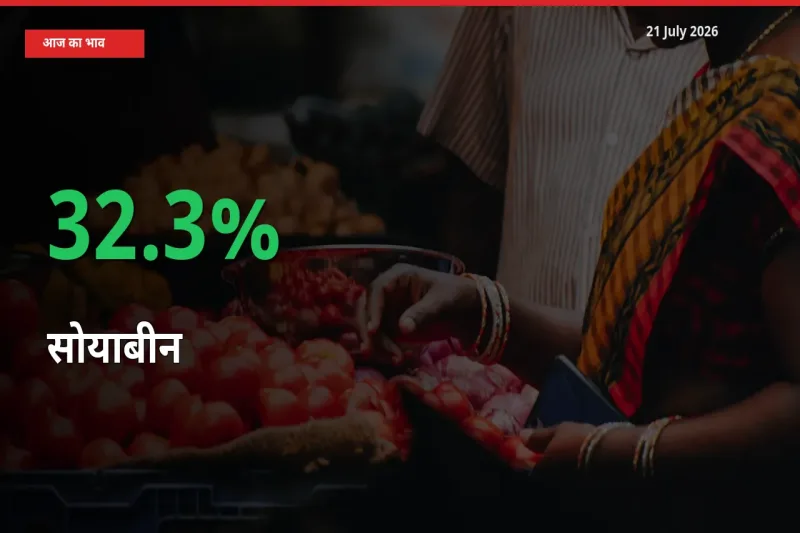 सोयाबीन के दाम प्रमुख मंडी में 32.3% बढ़े, 24 घंटे में बड़ा बदलाव