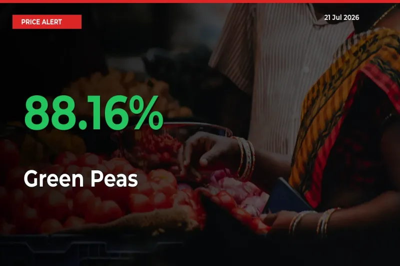 Big Rally! Green Peas Climbs 88.16% in 24 Hours at Top Mandis