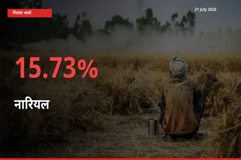 21 July अपडेट: नारियल के दाम मंडी में 15.73% गिरे