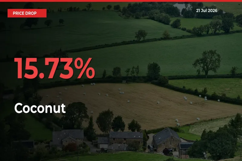 Farmers Alert as Coconut Prices Slide 15.73% in Local Mandis