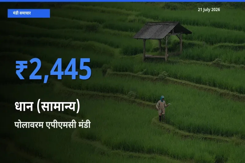 पोलावरम एपीएमसी मंडी में आज धान (सामान्य) के सबसे ऊँचे दाम दर्ज