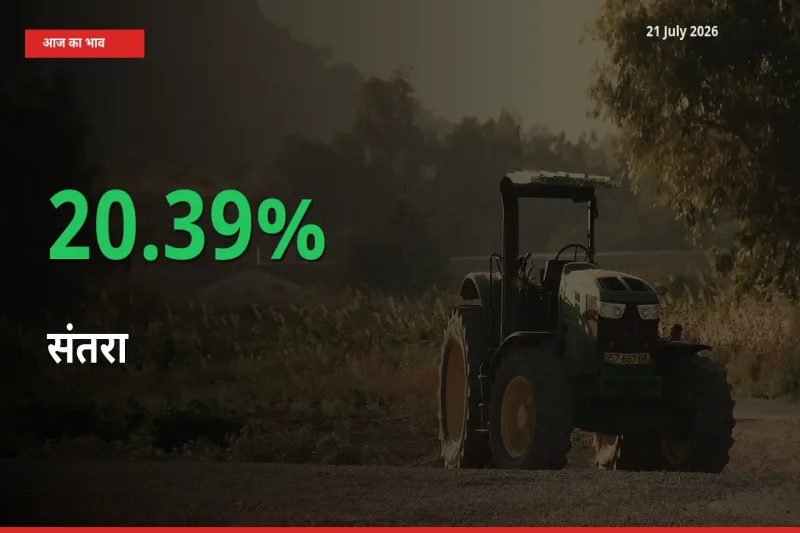 संतरा 20.39% उछला, मंडी