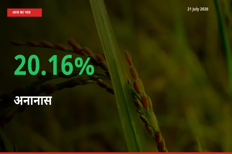 बाज़ार संकेत: अनानास के भाव मंडी में 20.16% ऊपर