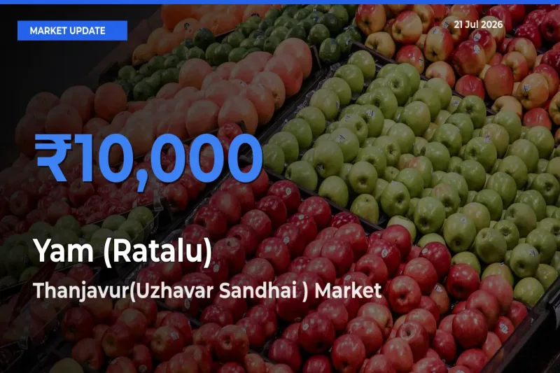 Thanjavur(Uzhavar Sandhai ) Records Highest ₹10,000 Rate for Yam (Ratalu)