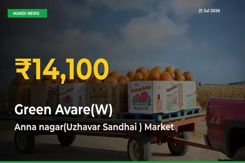 Anna nagar(Uzhavar Sandhai ) Leads as Green Avare(W) Hits Highest Rate – July 21 Update