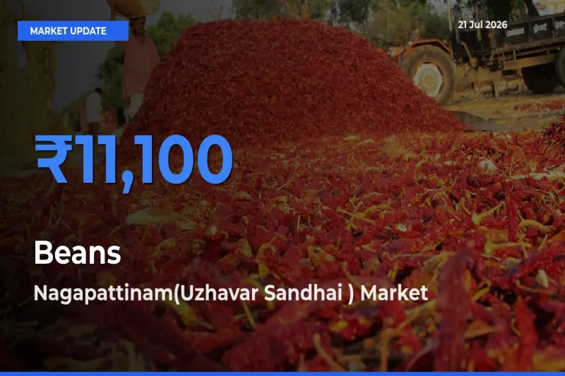 Nagapattinam(Uzhavar Sandhai ) Leads as Top Mandi for Beans Prices