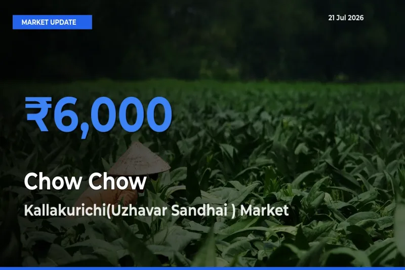 Kallakurichi(Uzhavar Sandhai ) Emerges as Top Mandi for Chow Chow Prices Today