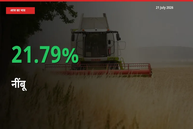 नींबू 21.79% उछला, मंडी