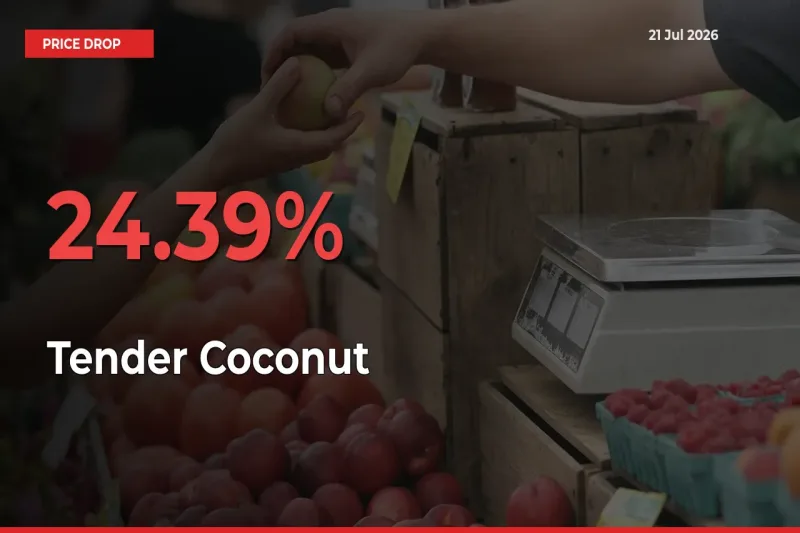 Tender Coconut Mandi Rate Today: Prices Fall 24.39% at Market