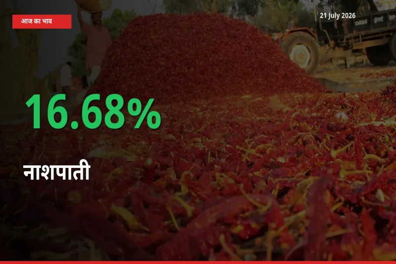 नाशपाती 16.68% उछला, मंडी