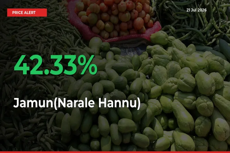 Why Jamun(Narale Hannu) Prices Rose 42.33% in a Day at Mandis