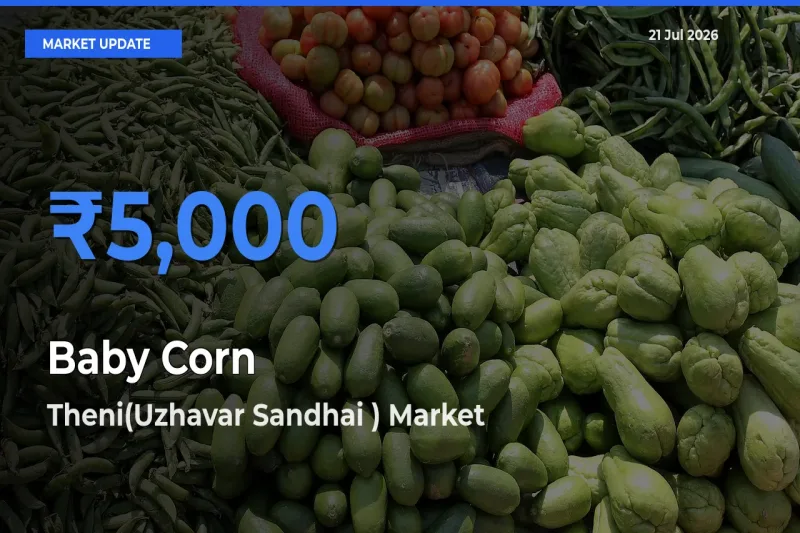 Theni(Uzhavar Sandhai ) Records Highest ₹5,000 Rate for Baby Corn