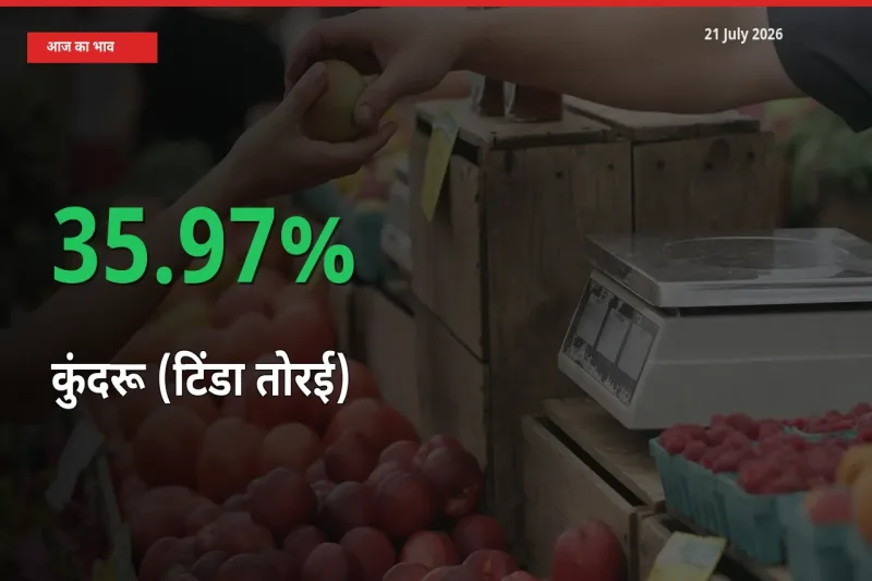 21 July अपडेट: कुंदरू (टिंडा तोरई) के दाम मंडी में 35.97% उछले