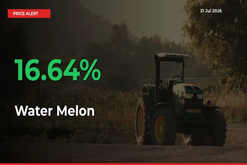 Water Melon Rises 16.64% at Mandis