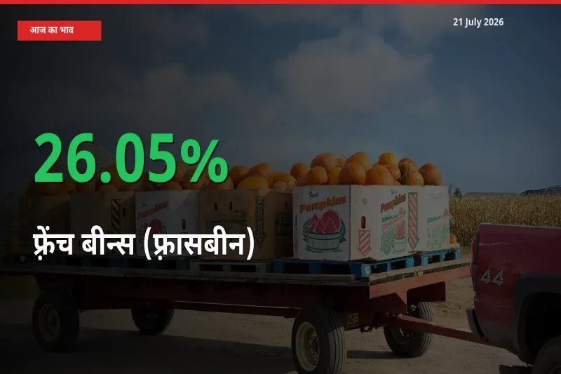 फ़्रेंच बीन्स (फ़्रासबीन) 26.05% उछला, मंडी