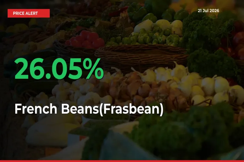 French Beans(Frasbean) Prices Rise 26.05% in a Day at Major Mandis