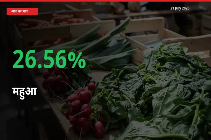 महुआ 26.56% उछला, मंडी