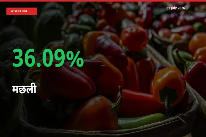 21 July अपडेट: मछली के दाम मंडी में 36.09% उछले