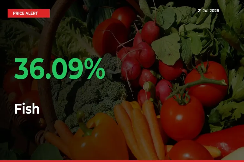 Fish Mandi Rate Today: Prices Jump 36.09% at Market