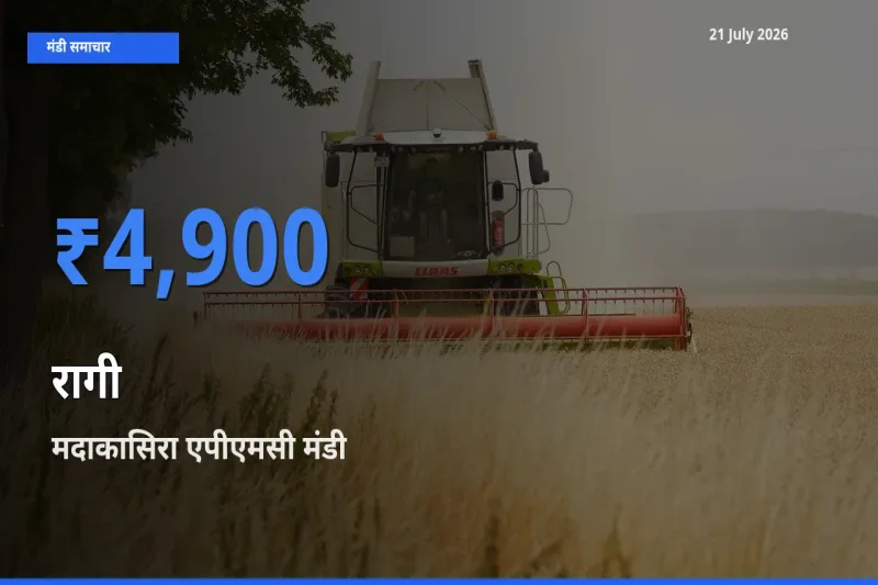 किसानों की पसंद बना मदाकासिरा एपीएमसी, रागी के सबसे अच्छे दाम