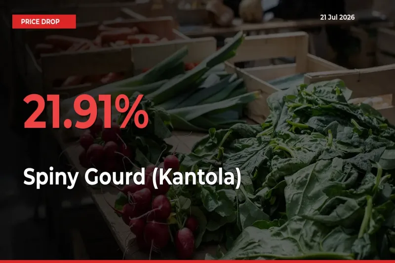 Spiny Gourd (Kantola) Falls 21.91% at Mandis