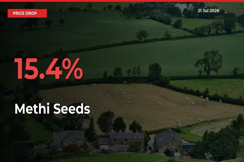 This Mandi Records 15.4% Fall in Methi Seeds Prices