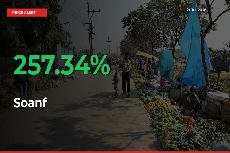 This Mandi Records 257.34% Jump in Soanf Prices