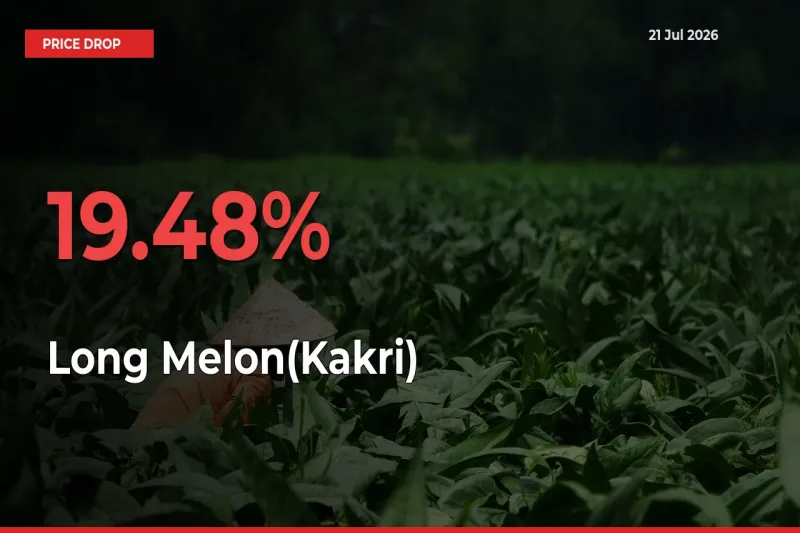Long Melon(Kakri) Prices Drop 19.48% in 24 Hours at Major Mandis