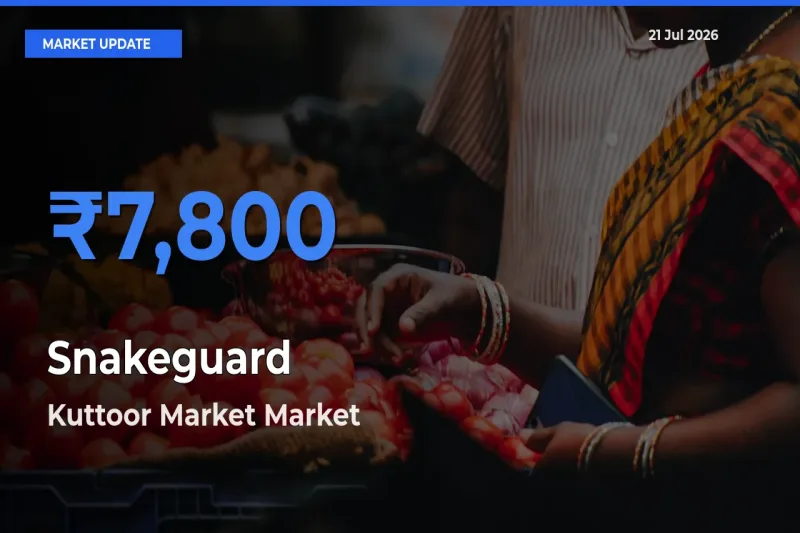 Top Performer! Kuttoor Market Offers Best Snakeguard Price Today