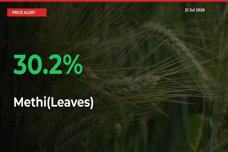 Methi(Leaves) Mandi Rate Today: Prices Jump 30.2% at Market