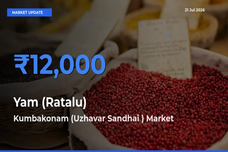 Farmers Prefer Kumbakonam (Uzhavar Sandhai ) as Yam (Ratalu) Hits Highest Rate