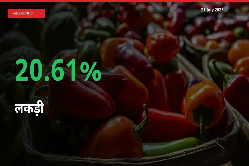 किसानों के लिए खुशखबरी! स्थानीय मंडी में लकड़ी 20.61% उछला