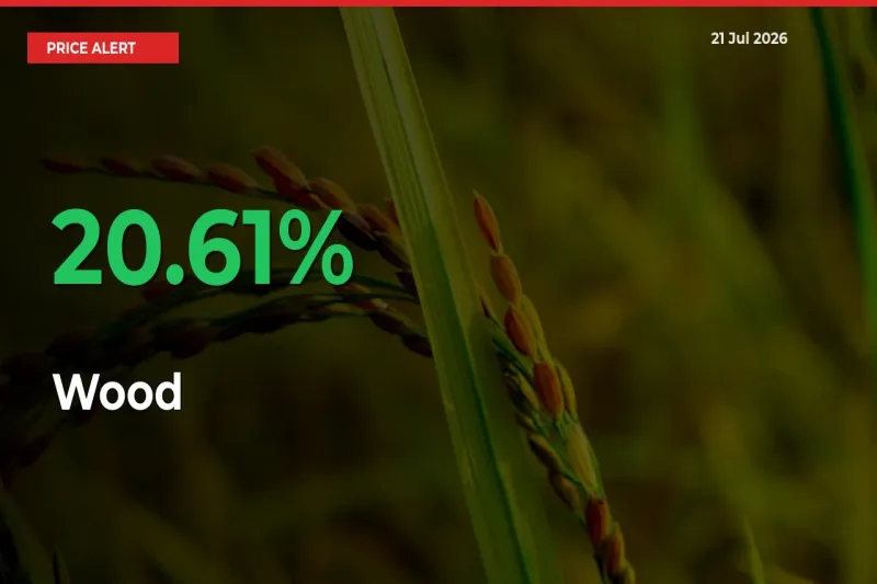 This Mandi Records 20.61% Jump in Wood Prices