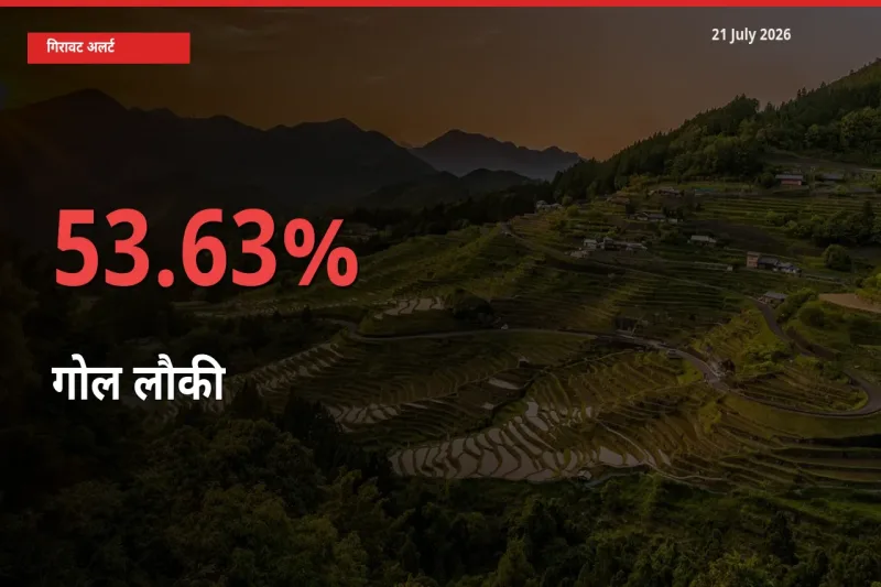किसानों की चिंता बढ़ी! स्थानीय मंडी में गोल लौकी 53.63% गिरा