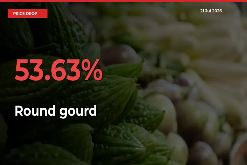 Sudden Shock! Round gourd Drops 53.63% in 24 Hours at Top Mandis