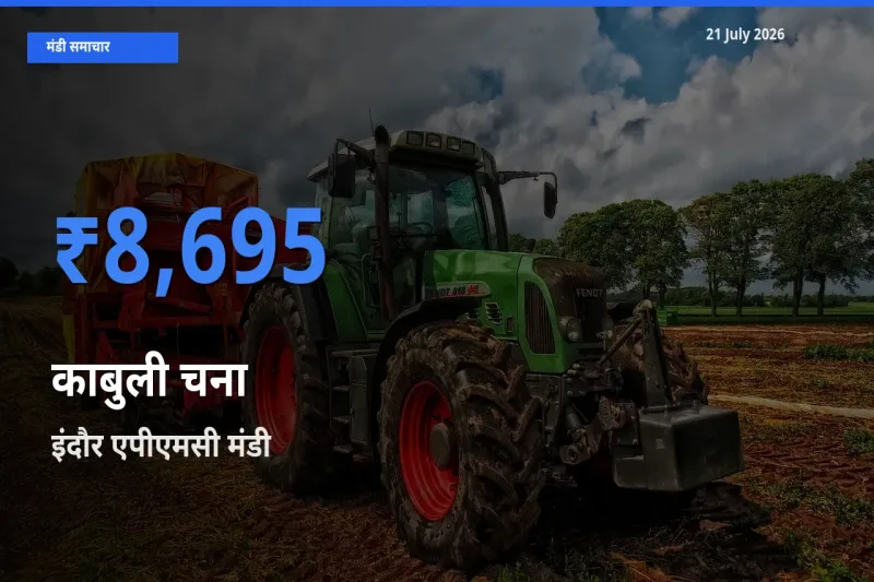 इंदौर एपीएमसी मंडी में काबुली चना ₹8,695 पर पहुँचा – आज का सर्वोच्च भाव