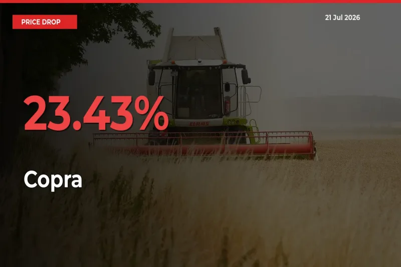 Farmers Alert as Copra Prices Slide 23.43% in Local Mandis