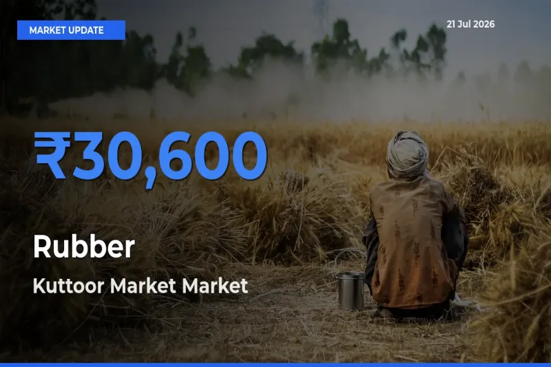 Farmers Prefer Kuttoor Market as Rubber Hits Highest Rate