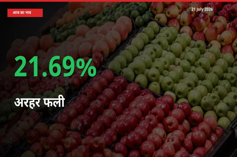 तेज़ तेजी! मंडी में अरहर फली के दाम 21.69% चढ़े