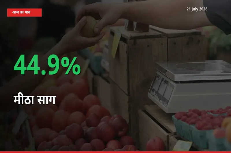 आज का मंडी भाव: मीठा साग के दाम मंडी में 44.9% ऊपर