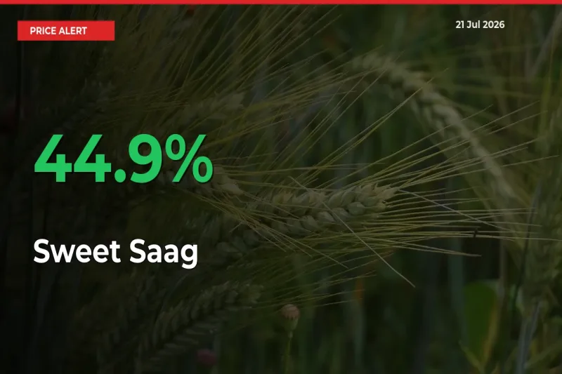 Sudden 44.9% Rally in Sweet Saag Prices Across Mandis