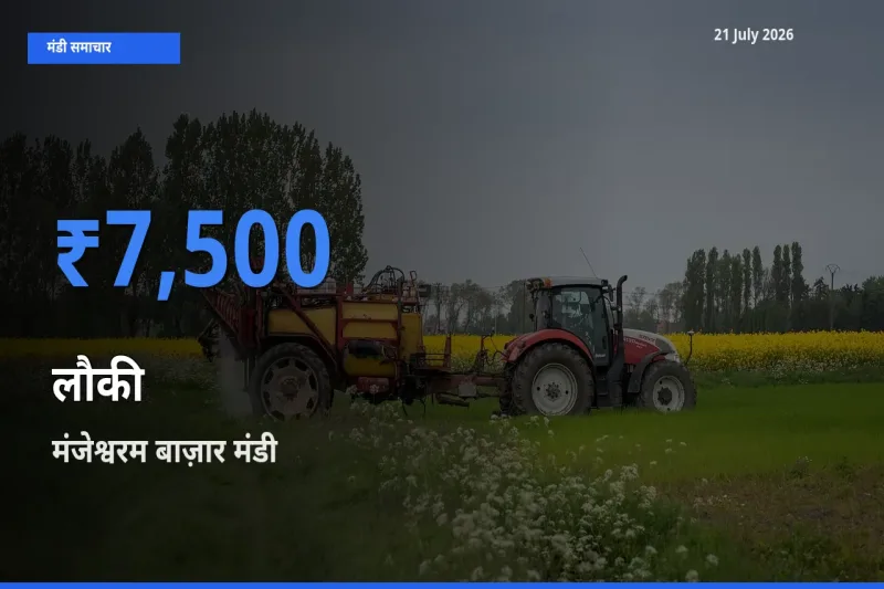 किसानों की पसंद बना मंजेश्वरम बाज़ार, लौकी के सबसे अच्छे दाम