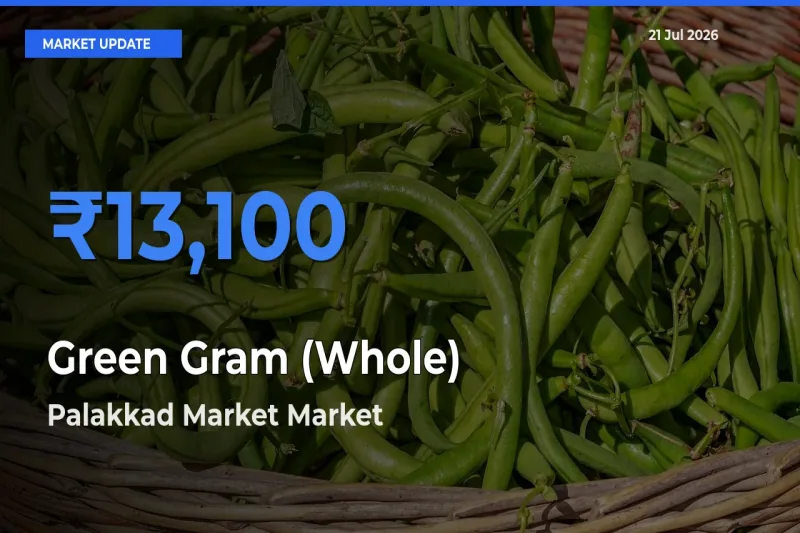 Palakkad Market Emerges as Top Mandi for Green Gram (Whole) Prices Today