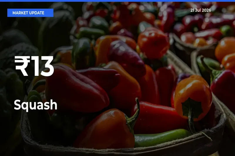Strong Trend in Squash Rates Across Multiple Mandis – What It Means for Traders