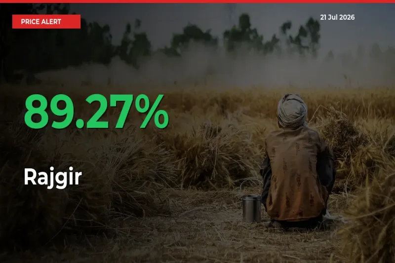 Why Rajgir Prices Rose 89.27% in a Day at Mandis
