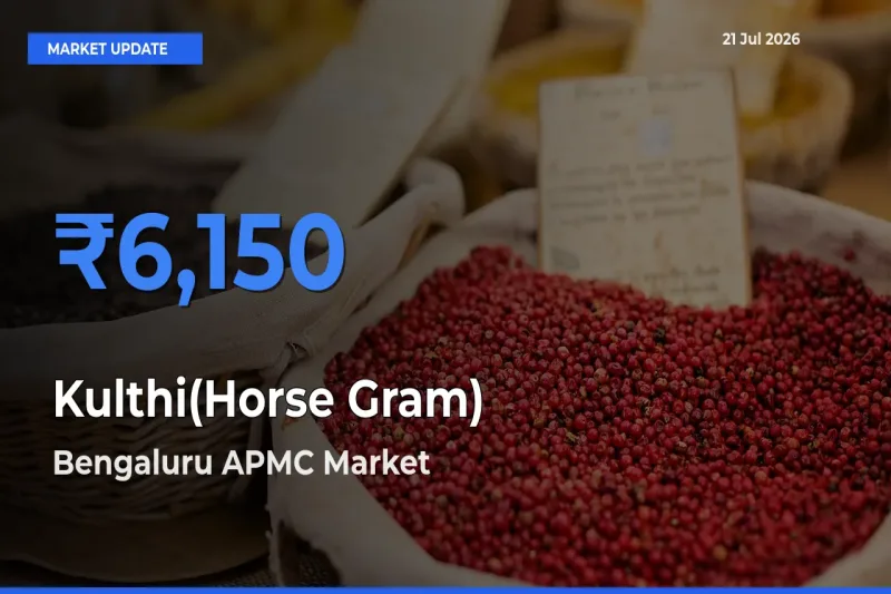 Bengaluru APMC Offers ₹6,150 – Highest Kulthi(Horse Gram) Rate Today