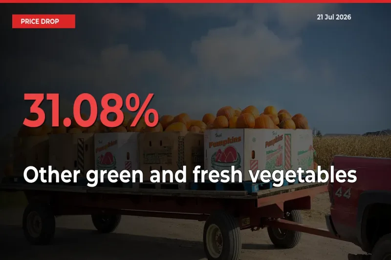 Other green and fresh vegetables Falls 31.08% at Mandis