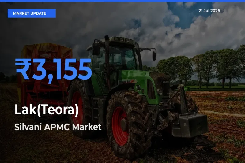 Farmers Prefer Silvani APMC as Lak(Teora) Hits Highest Rate