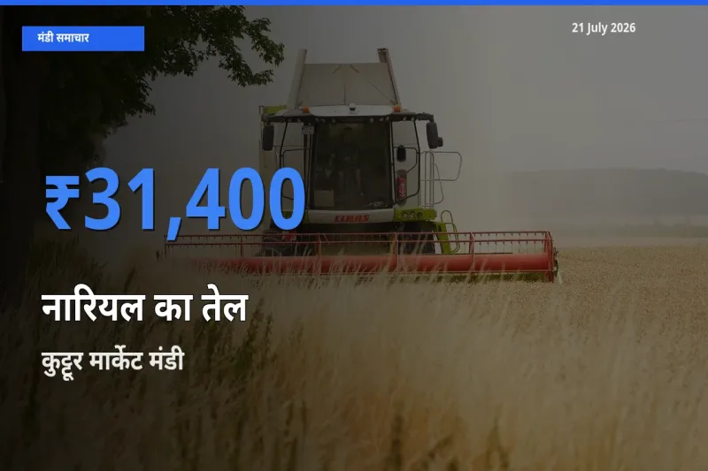 कुट्टूर मार्केट में नारियल का तेल का आज सबसे ऊँचा भाव