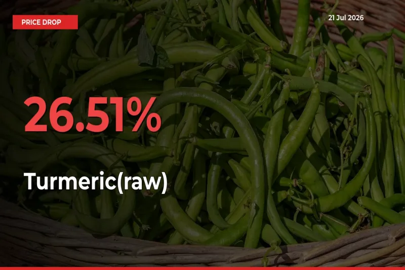 Farmers Alert as Turmeric(raw) Prices Slide 26.51% in Local Mandis